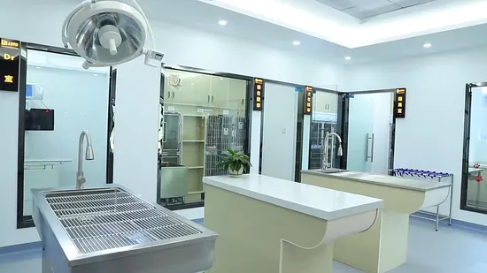 Animal Instrument Pet Surgical Auxiliary Vehicle for Pet Clinic