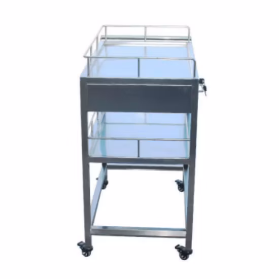 Animal Instrument Pet Surgical Auxiliary Vehicle for Pet Clinic